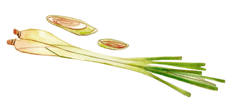 lemongrass